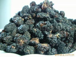 廣州亞隆生物科技 融合前沿生物技術的干果產品創新實踐